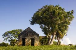 Old House