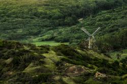 Morgan Lewis Windmill