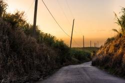 A Country Road