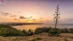Ragged Point