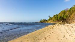 Harrisons Point Beach
