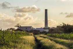 St.Philip Factory