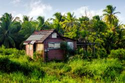 Chattel House