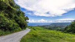 Cherry tree Hill