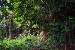 Porey Spring