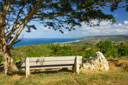 Cherry Tree Hill