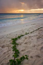 Drill Hall Beach