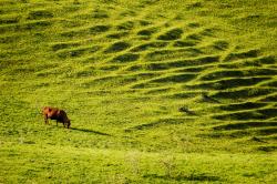 Highclere