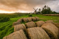 Morgan Lewis Windmill