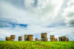 Bales of Hay