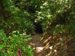 Coles Cave Barbados