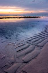 Hastings Beach