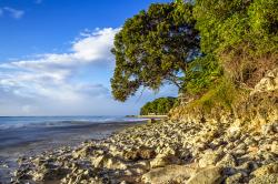 Prospect Beach