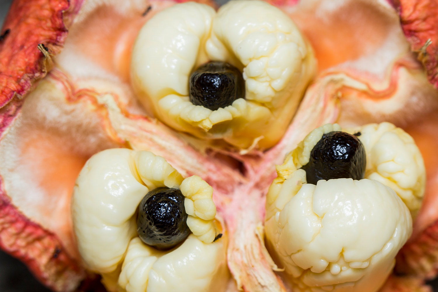 Jamaican Ackee Barbados