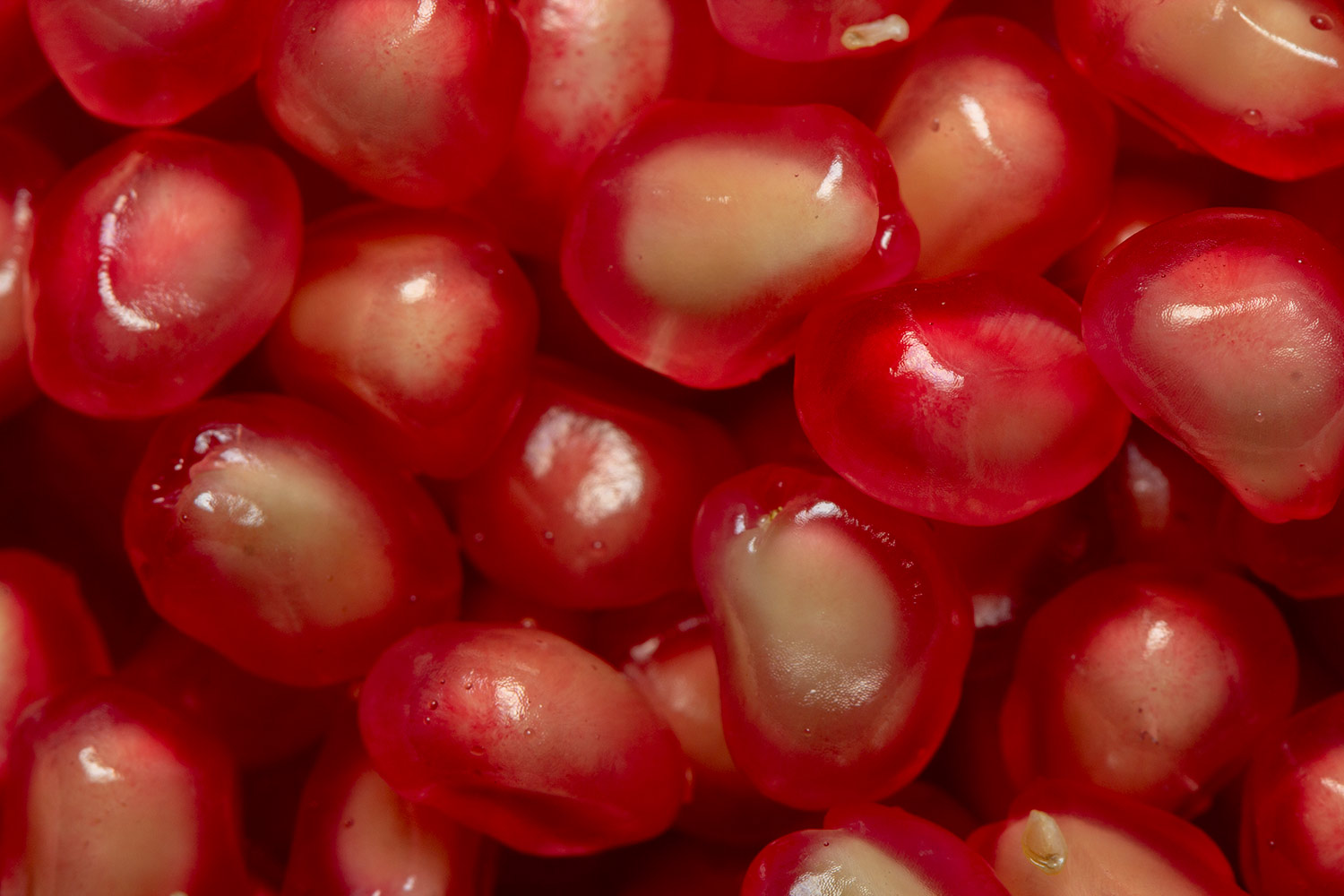 Pomegranate Barbados