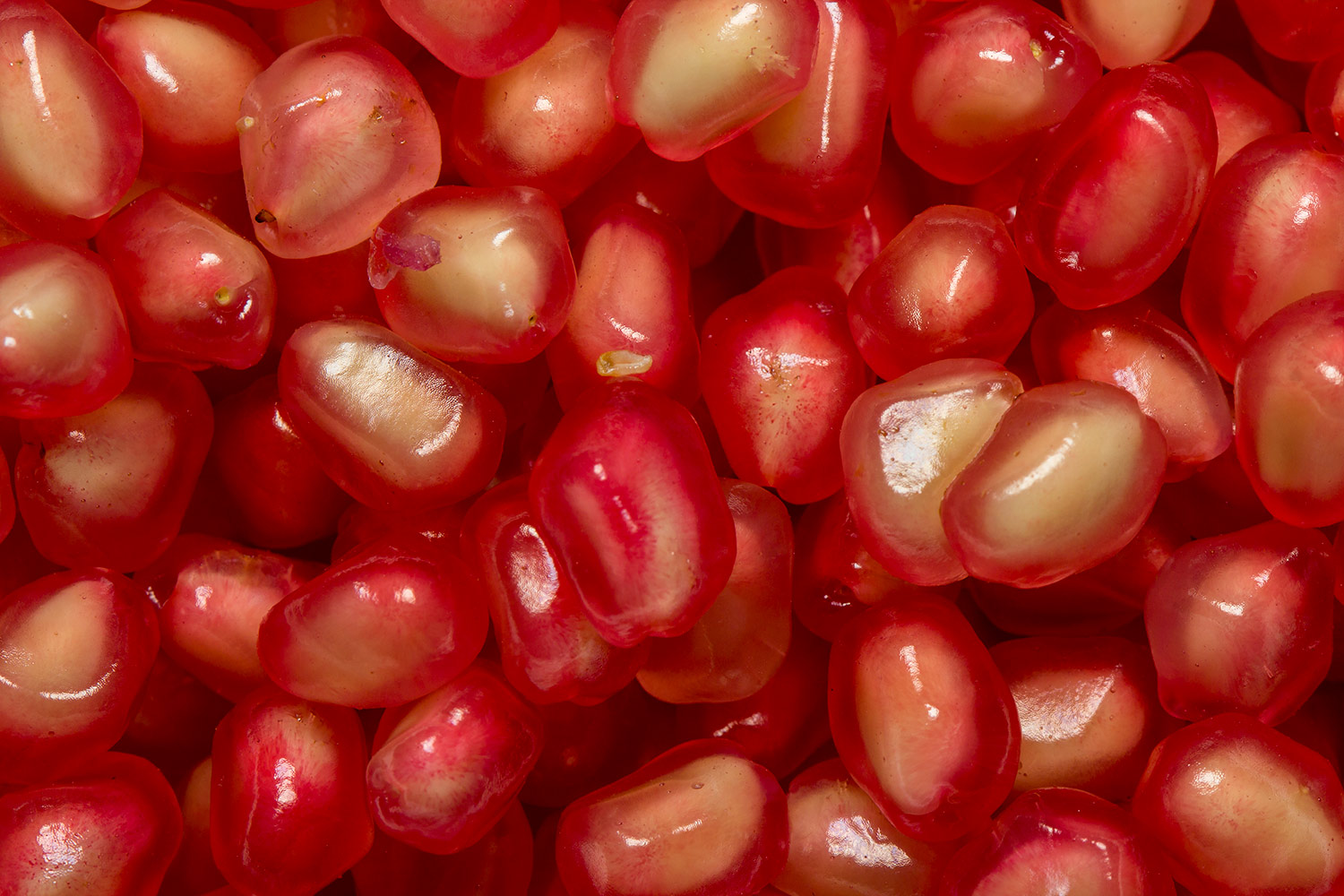Pomegranate Barbados